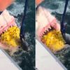 Video: NJ Fisherbros Lure Shark To Their 'Big Nutz' Boat For 'ONCE IN A LIFETIME' Experience, 'Man'